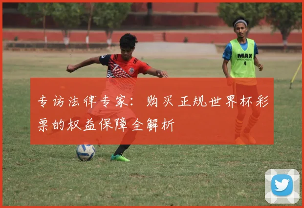 专访法律专家：购买正规世界杯彩票的权益保障全解析