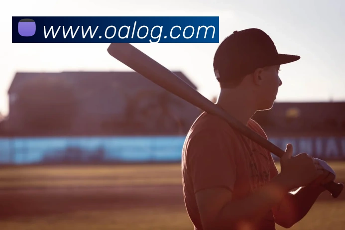 开云app平台登录入口平台生态图