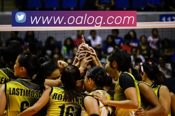 辅助工具 辅助工具